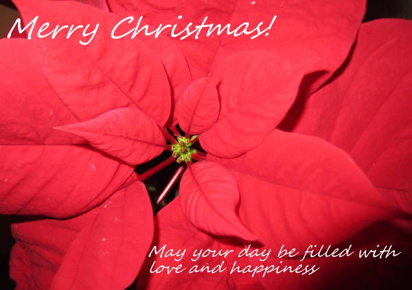 Merry_Christmas_2012